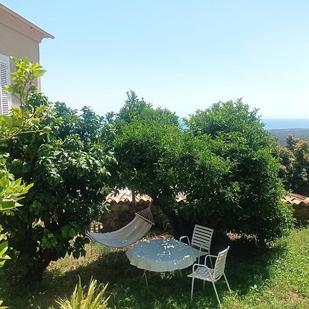 Appartement A Caserella entièrement rénové avec terrasse et vue panoramique sur mer Valle-di-Campoloro Esterno foto