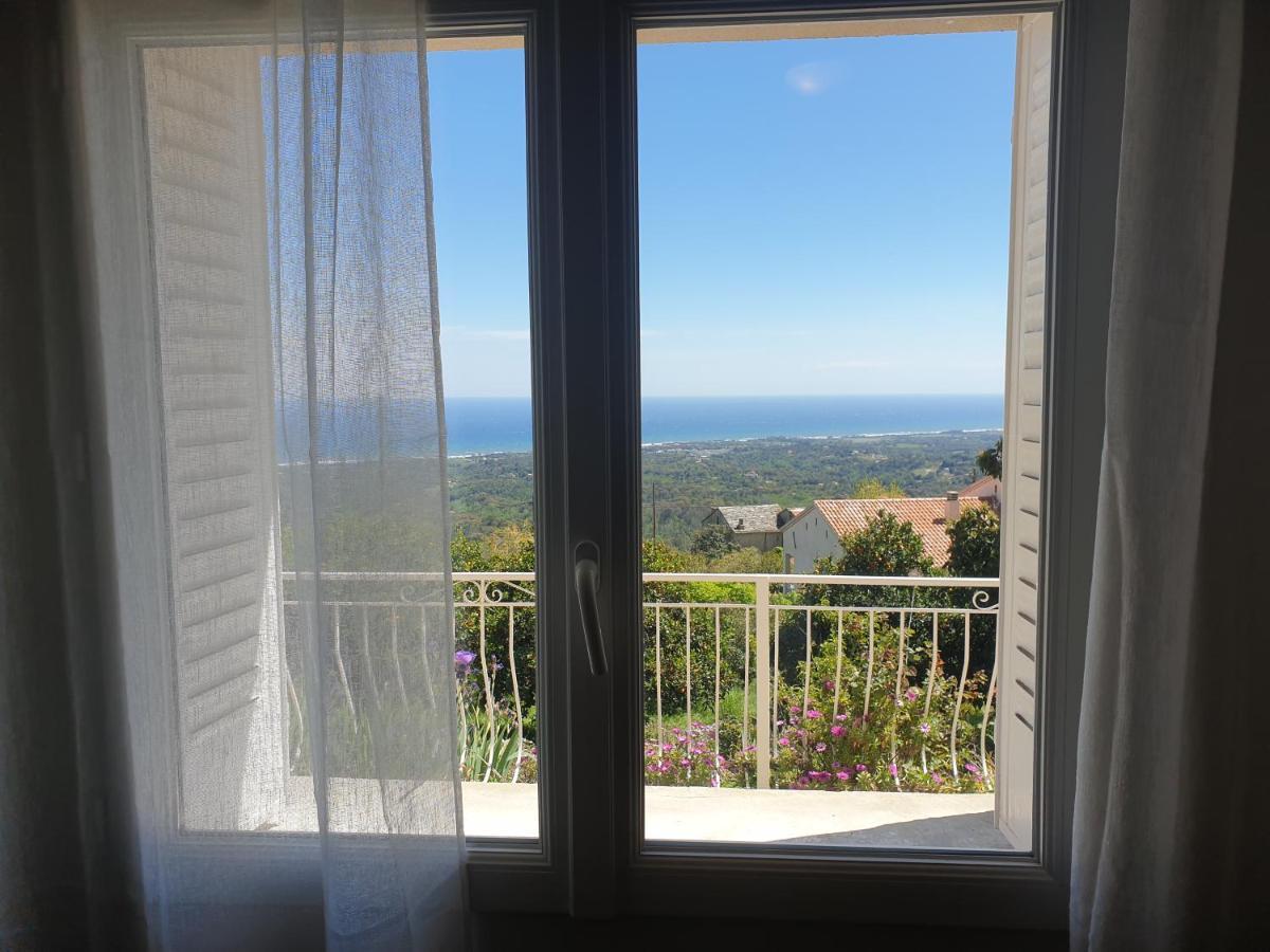 Appartement A Caserella entièrement rénové avec terrasse et vue panoramique sur mer Valle-di-Campoloro Esterno foto