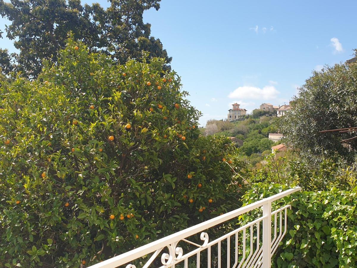 Appartement A Caserella entièrement rénové avec terrasse et vue panoramique sur mer Valle-di-Campoloro Esterno foto