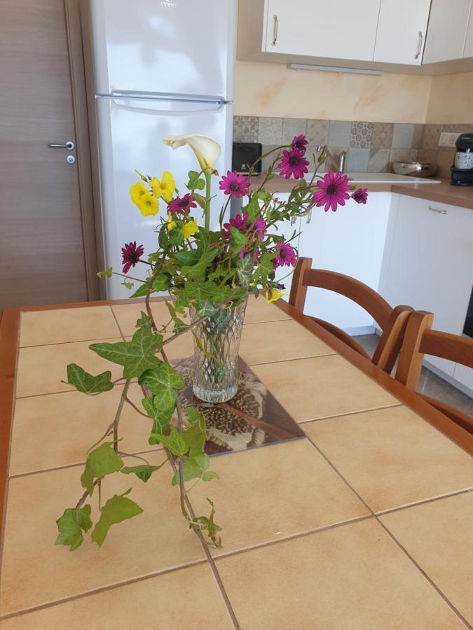 Appartement A Caserella entièrement rénové avec terrasse et vue panoramique sur mer Valle-di-Campoloro Esterno foto