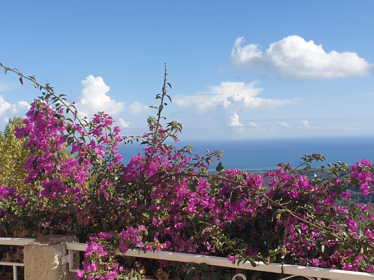 Appartement A Caserella entièrement rénové avec terrasse et vue panoramique sur mer Valle-di-Campoloro Esterno foto