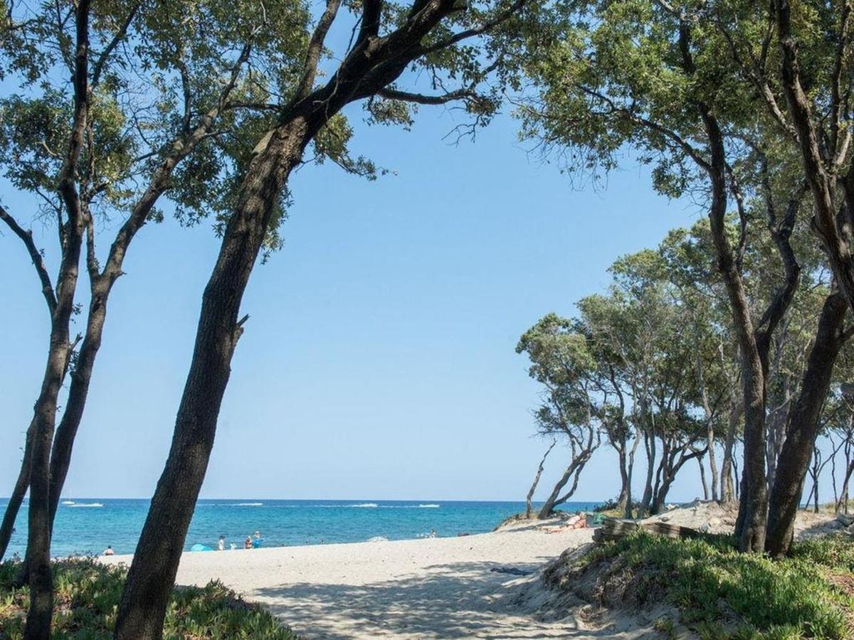 Appartement A Caserella entièrement rénové avec terrasse et vue panoramique sur mer Valle-di-Campoloro Esterno foto