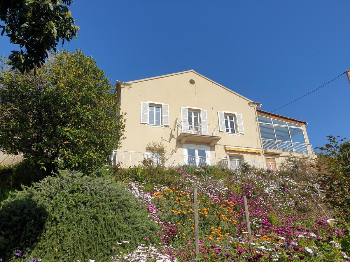 Appartement A Caserella entièrement rénové avec terrasse et vue panoramique sur mer Valle-di-Campoloro Esterno foto