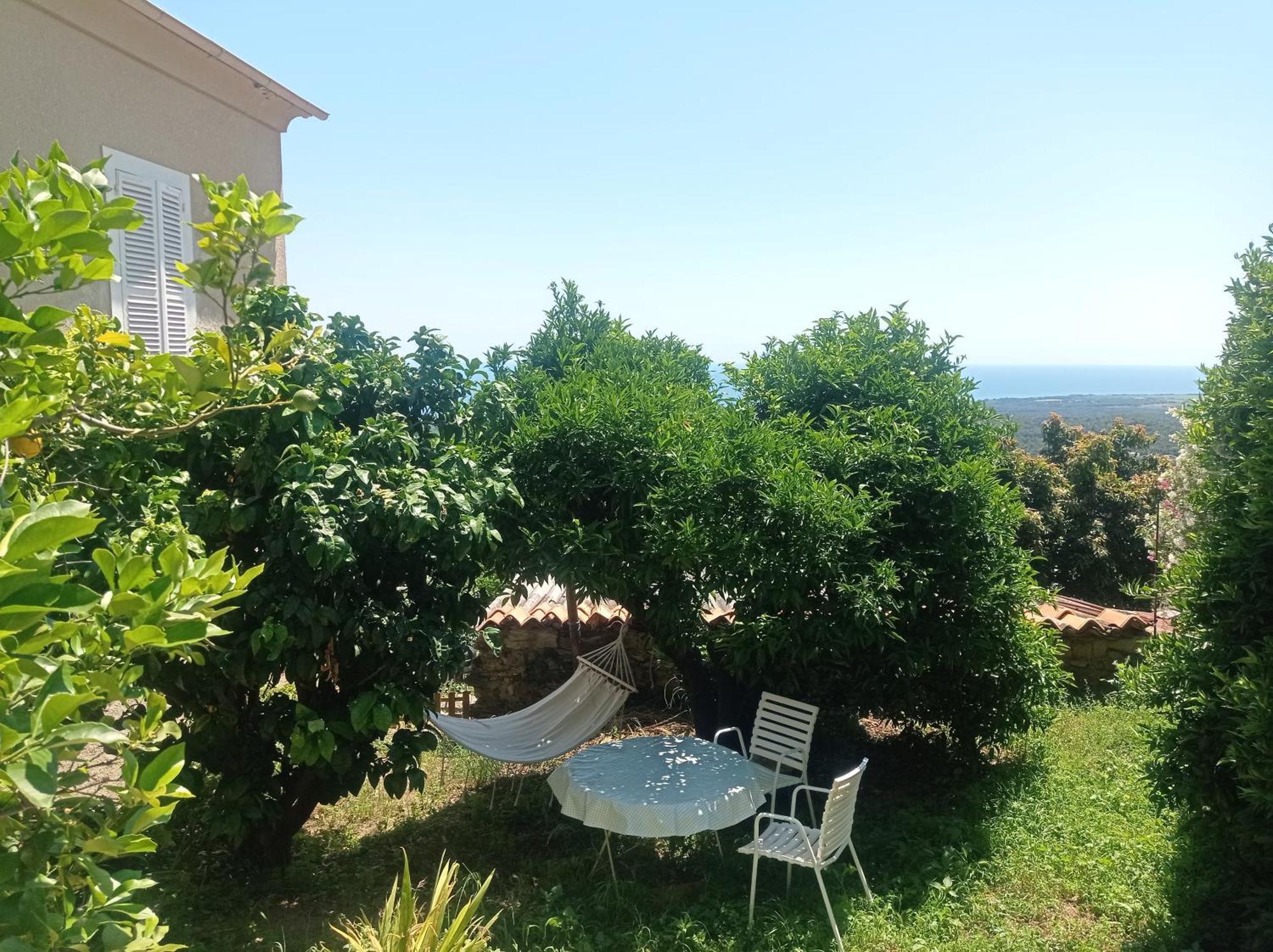 Appartement A Caserella entièrement rénové avec terrasse et vue panoramique sur mer Valle-di-Campoloro Esterno foto